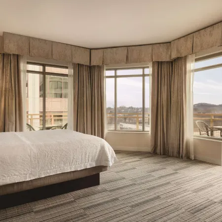 Hampton Inn & Suites Roanoke Downtown