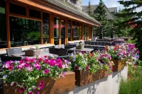 Fox Hotel and Suites