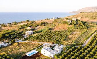 Mikro Livadi Special Lodges - Has an Eco Salt Water Pool - 150m from the Beach