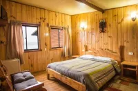 Apart Hotel Puchaley Lafquen Hotels in Panguipulli