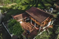 Luckydaisy Buffalo House