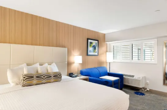 Best Western Red Coach Inn ベイカービーチ周辺のホテル