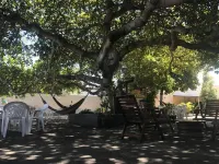 Pousada Pé de Caju Hotels in Alcobaça