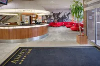 布爾諾阿萬蒂酒店 - 酒吧