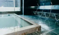 WPÜ Hotel Hakone - suối nước nóng