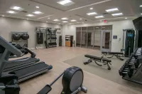 Hilton Garden Inn Jackson/Clinton - Gym