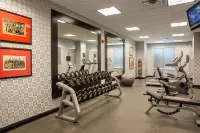 Hilton Garden Inn Columbus/Edinburgh - Gym