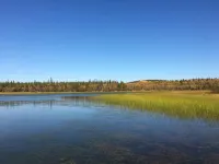 Jenny's Guest House Hotels in Yellowknife