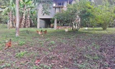 Xultun Farm Noble - Housity