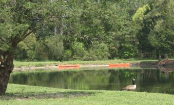 Virginia Landing RV Campground