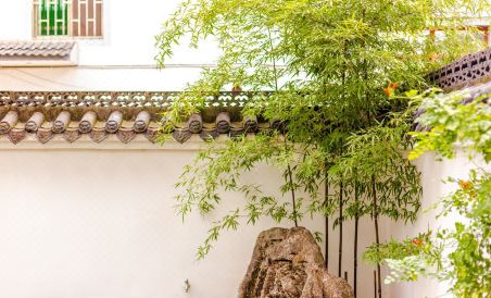 Suitetrails - 完美小院(青云路分店)