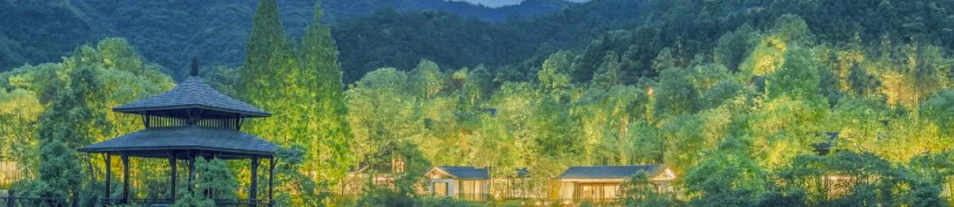 Luxury Hotels
