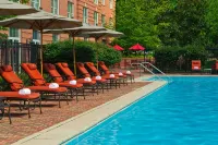 Westfields Marriott Washington Dulles - Rooftop Pools