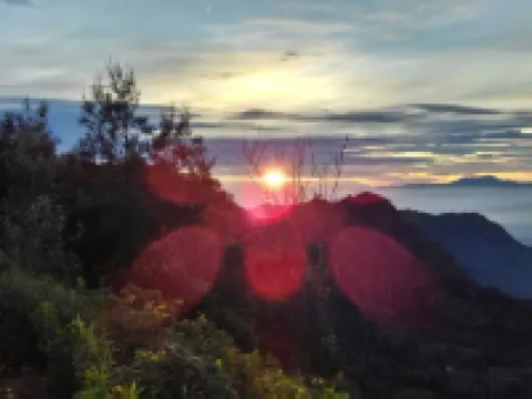 TENGGER HOMESTAY Bromo Hotéis em Tosari