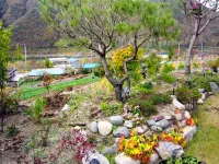 Danyang Pulnaeum Pension Hotels near Guinsa Temple
