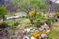 Danyang Pulnaeum Pension Hotels in Danyang-gun
