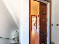 Nel Corso