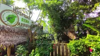 Hospedaje  Reina Arriera Amazonas Hotels in 