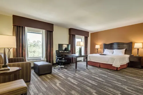 Hampton Inn Poplar Bluff - WiFi