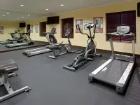 Holiday Inn Express & Suites HOUSTON WEST - KATY by IHG - Gym