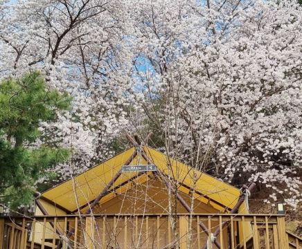 제천 청풍월드니스글램핑