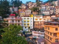 The Hosteller Shimla