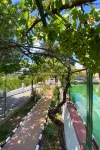 Rustic Charm, Olivo Suite with Private Bathroom and Unique Views 住宿飯店