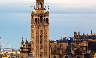 Cool Sevilla Hotel