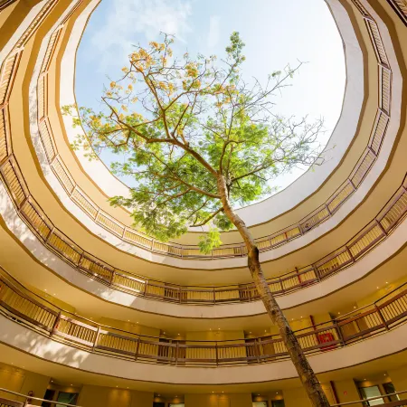 Hotel Parque da Costeira