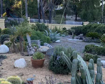 Cactus Garden Cottage…Best Location!! フォールブルックのホテル