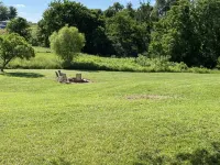 Wine Trail, Cozy Cabin plus hot tub Hotels in Union County