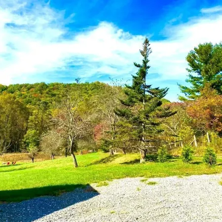The Hoot Owl - New Cabin in Black Mountain w/ views & discount Biltmore tickets!
