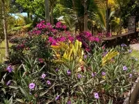 Nice little cottage oasis on a tropical fruit orchard consisting of many fruits. ハワイアン・パラダイス・パークのホテル