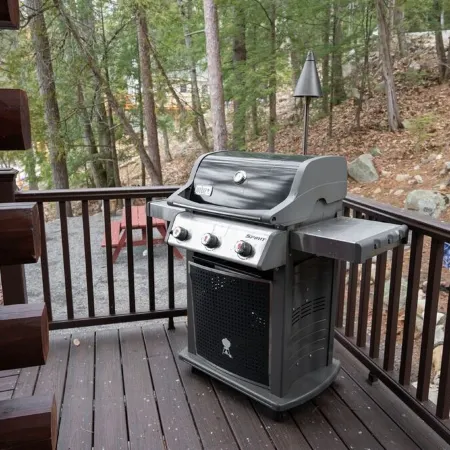 Highly Recommended Lake Side Cabin.  Welcome to Majestic Pines on Schroon Lake.