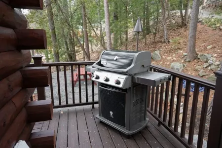 Highly Recommended Lake Side Cabin.  Welcome to Majestic Pines on Schroon Lake.