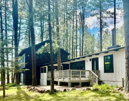 Bear Treehouse - 1.23 acres of cool pines and walking distance to fun! Отели рядом с достопримечательностью «Pinewood Trailhead»