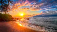 Surfers Paradise! Hotels in Pupukea