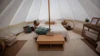 Cozy campsite with creek access!