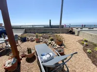 Beachfront Ocean Views 20 Mins to SF!