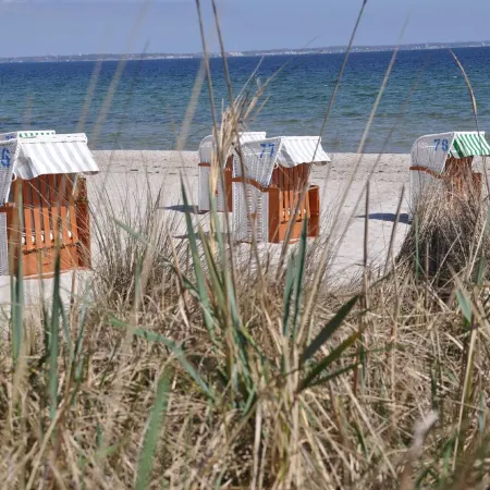 Sunny 2 room apartment near the beach with balcony and partial sea view