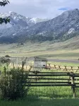 New Cabin 5Mins from Ynp & Springs 10Acre Horse Ranch @Little Trail Creek Cabins