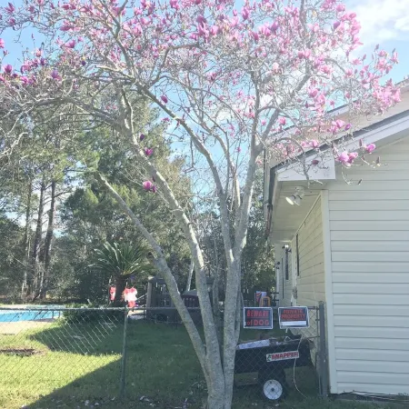 Large Home with A Pool & Four Bedrooms