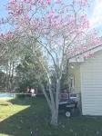 Large Home with A Pool & Four Bedrooms