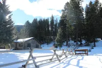 Charming Log Cabin and Bunkhouse in Beautiful Cottonwood Cayon