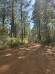 Piney Woods A-Frame on Lake D’Arbonne