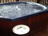 Cozy Cottage! Hot Tub & Cozy up to the Fireplace! Christmas Deco for Holidays!