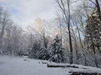 Pet friendly, hot tub, cabin