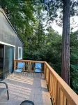Surrounded by Redwoods with Ocean View & beach access