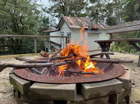 Bedford Cottage  - Cosy mountain bush retreat.