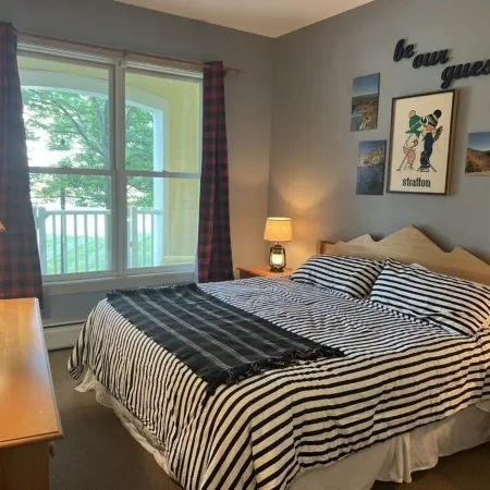 5 minute walk to lifts and Stratton Village! Cozy fireplace with a private patio